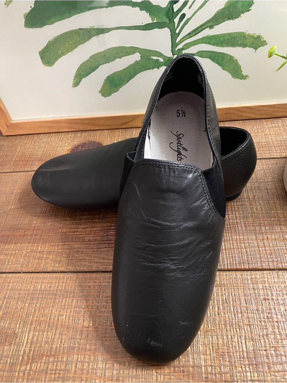 Spotlights Jazz shoes